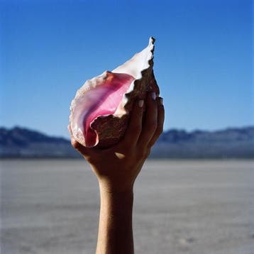 lp nieuw - the killers - Wonderful Wonderful (nieuw), Cd's en Dvd's, Vinyl | Rock, Verzenden, Zo goed als nieuw, Overige formaten