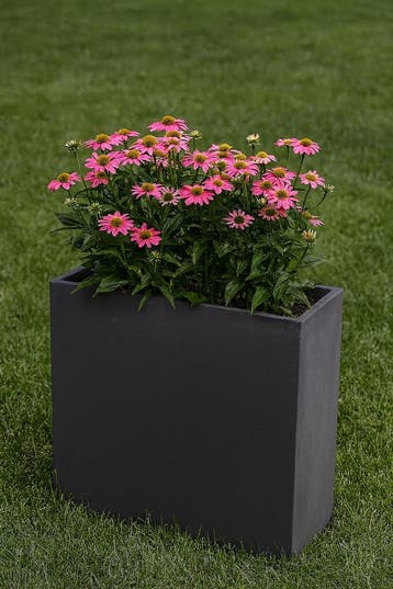 Plantenbak Fiberclay 58x23x58 cm Antraciet, Tuin en Terras, Verzenden, Nieuw