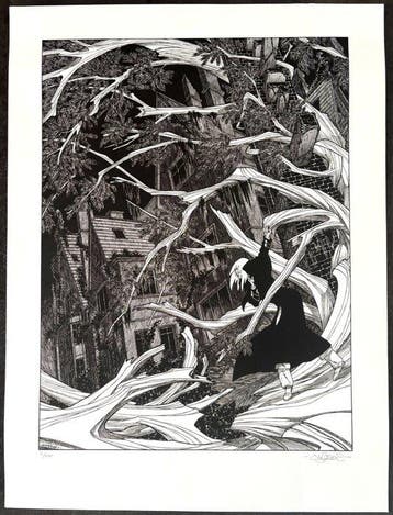 Andréas - 1 Offset Print - Capricorne - 39 x 52cm, Nieuw