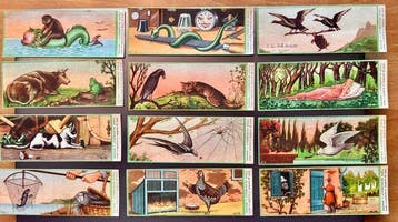 Formaggino Bebe - 12 Card, Nieuw