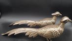 Decoratief ornament - Spanje