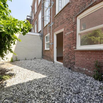 Huis gevonden in of bij Den-haag, Overige soorten, Direct bij eigenaar, Den-haag, Zuid-Holland