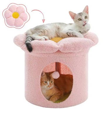 Bloemen Kattenhuis –Groot Kattenbed en Speels Appartement Bi, Verzenden, Nieuw