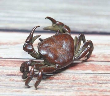 Decoratief ornament, Antiek en Kunst
