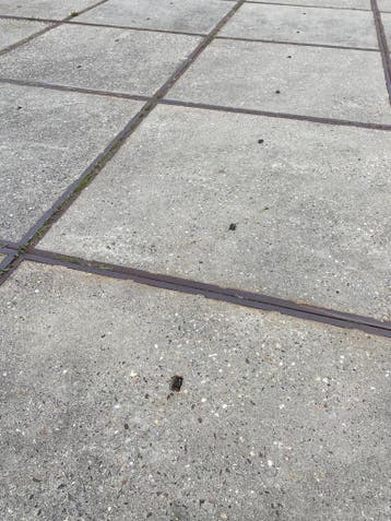 Gebruikte betonplaat 200x200x14 met hoeklijn B-keus..., Ophalen of Verzenden, Nieuw