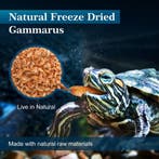 Schildpad voer - Schildpadvoer - Gammarus - 320g - 3L - Nobl, Verzenden, Zo goed als nieuw