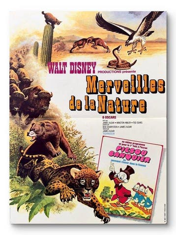 Walt Disney - Merveilles de la Nature – Scrooge McDuck -, Nieuw