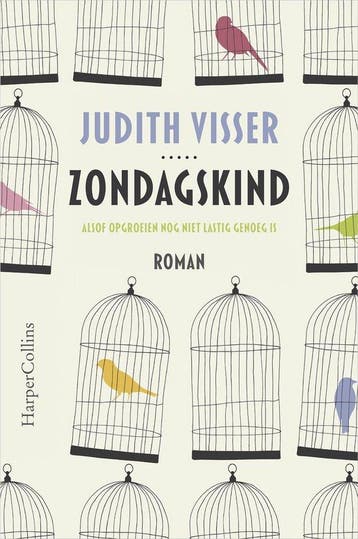 9789402702569 Zondagskind Boek - Roman over opgroeien met..., Verzenden, Gelezen, Judith Visser