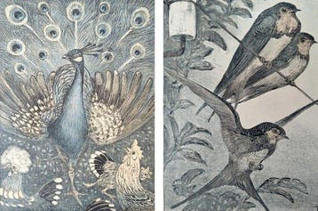 Theo van Hoytema (1863–1917) - Pauw met kippen & Drie