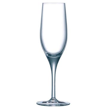 Sensation Exalt champagneglazen | 19cl | 24 stuks, Verzenden