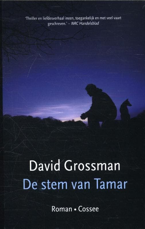 De stem van Tamar 9789059366848 David Grossman, Boeken, Romans, Gelezen, Verzenden