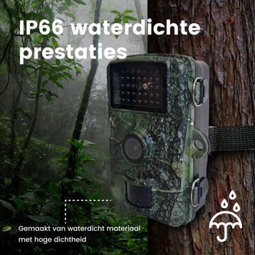 Professionele Wildcamera met nachtzicht 16MP - Wildlife, Ophalen of Verzenden, Nieuw