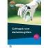 Golfregels voor startende golfers 9789085166269, Boeken, Hobby en Vrije tijd, Gelezen, Verzenden