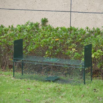 Pawut trap live Cage catch x 25x28 cm wedge trap for Marten, Verzenden, Nieuw
