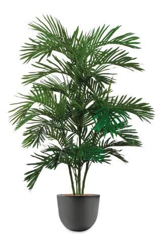 Areca Palm kunstplant, H175cm, Huis en Inrichting, Kamerplanten, Ophalen of Verzenden, Palm, 150 tot 200 cm