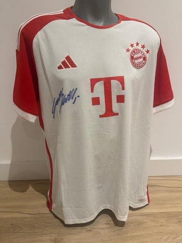 FC Bayern München - Duitse voetbal competitie - Lothar, Nieuw