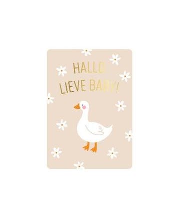 3x mini kaartje Hallo lieve baby (Cadeaukaarten A7), Ophalen of Verzenden, Nieuw