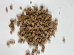Kurkkorrels (kurkgranulaat) 4-12mm - 1KG, Hobby en Vrije tijd, Ophalen of Verzenden, Nieuw