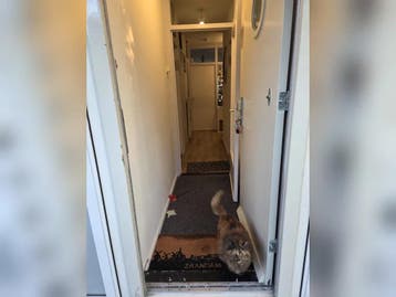 Te huur: Appartement Thijssestraat in Zaandam, Huizen en Kamers, Noord-Holland, Zaandam, Appartement