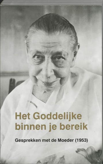 Het Goddelijke binnen je bereik - W. van Vliet 9789020240801, Boeken, Verzenden, Gelezen, W. van Vliet