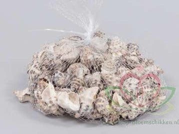 Thais Rustica Schelpen 350 gram, Ophalen of Verzenden, Nieuw