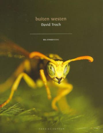 Buiten westen / Bel- etagereeks / 5 - David Troch, Verzenden, Zo goed als nieuw, David Troch