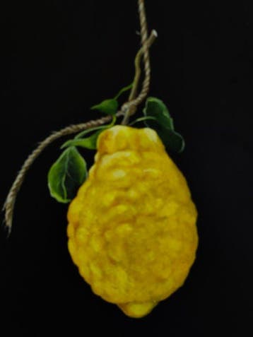 Franco Bencivenga (1953) - Limone appeso, Antiek en Kunst
