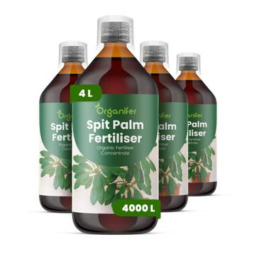 Spitpalm Vloeibare meststof - Set 4x1 liter, Verzenden, Mest