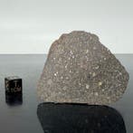 ABA PANU. XXL SUPER!! Volledige lamina Type L3 NASA