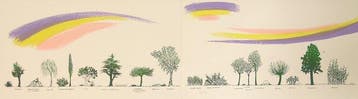 Bruno Munari (1907-1998) - Un viale di alberi diversi (