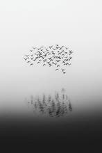 Jorge Omeñaca - A cucu flight