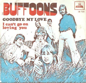 vinyl single 7 inch - The Buffoons - Goodbye My Love, Cd's en Dvd's, Verzenden, Zo goed als nieuw, 7 inch, Pop