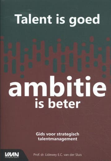 Talent is goed, ambitie is beter - Lidewey van der Sluis, Boeken, Verzenden, Zo goed als nieuw, Lidewey van der Sluis