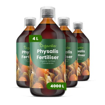 Physalis Vloeibare meststof - Set 4x1 liter, Tuin en Terras, Verzenden, Mest