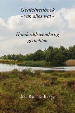 Gedichtenboek 9789462663961 Remmer Bakker, Boeken, Gedichten en Poëzie, Verzenden, Gelezen, Remmer Bakker