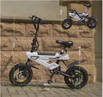 Opvouwbare Elektrische Fiets 14 Inch – 250W E-Bike LCD, Verzenden, Nieuw