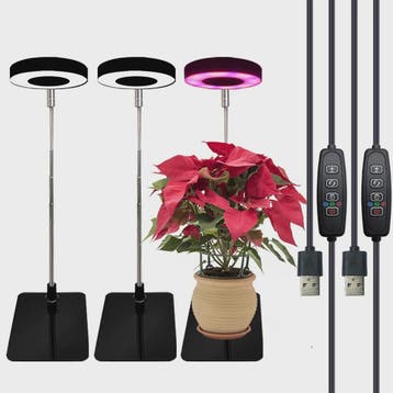 HOMEFISH LED Plantengroeilamp met Timer & Dimfunctie - Volle, Verzenden, Nieuw