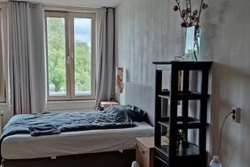 Kamer P. Hans Frankfurthersingel in Rotterdam, 20 tot 35 m², Rotterdam