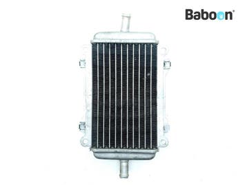 Radiateur Piaggio | Vespa GTS 300 2017-2018 (GTS300, Verzenden, Gebruikt