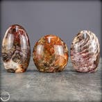 Prachtige set van versteend hout – Freiformen- 1417.99 g -