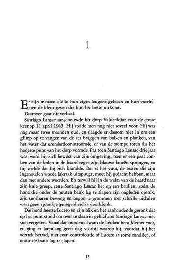 De dromer, Ophalen of Verzenden, Nieuw