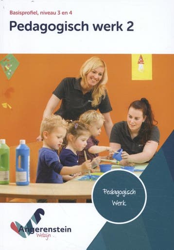 Pedagogisch werk 2 / niveau 3/4 basisprofiel / Angerenstein, Verzenden, Zo goed als nieuw, K. Stolk-Haak