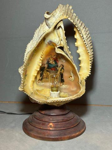 Cassis cornuta Taxidermie volledige montage - Lampada