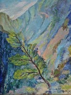 Jordi Cañellas (1953) - Vida entre rocas