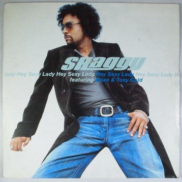 Shaggy featuring Brian & Tony Gold - Hey Sexy Lady - 12, Verzenden, Nieuw in verpakking