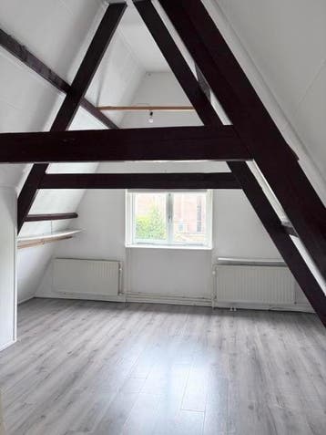 Te huur: Studio Hooigracht in Leiden, Leiden, Zuid-Holland