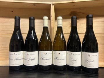 Domaine Julien Cécillon : 2024 Saint-Joseph, 2024, Verzamelen, Wijnen, Nieuw