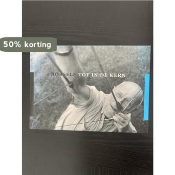 Borsele tot in de kern - Mechteld Jansen 9789081128414, Verzenden, Gelezen, Mechteld Jansen