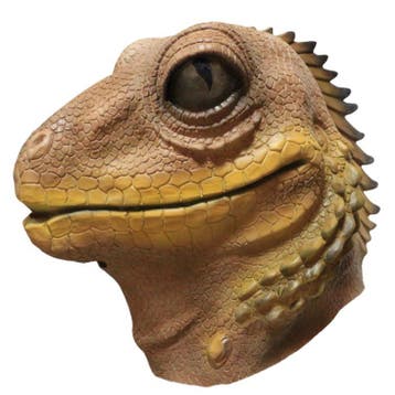 Hagedis masker (bruin reptiel) leguaan, Verzenden, Nieuw