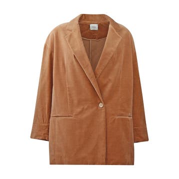 Alysi • bruine fluwelen blazer • 34 (IT38), Kleding | Dames, Bruin, Verzenden, Nieuw, Alysi